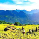 Pu Luong 2 Days Trekking & Village Experience with local Family - What to Expect When You Book