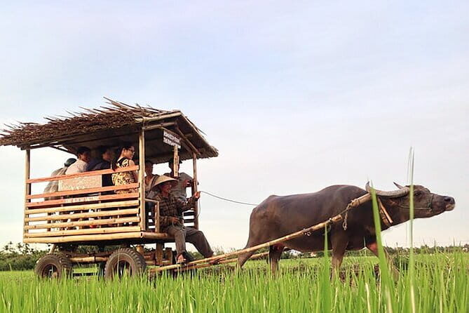 Pu Luong 3-Day Adventure: Trekking, Cycling & Local Cooking Class - Final Thoughts