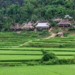 Pu Luong Afternoon Trek - Bat Cave, Rice Fields & Village Life - Final Thoughts