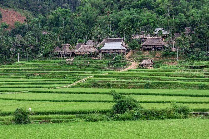 Pu Luong Afternoon Trek - Bat Cave, Rice Fields & Village Life - Final Thoughts
