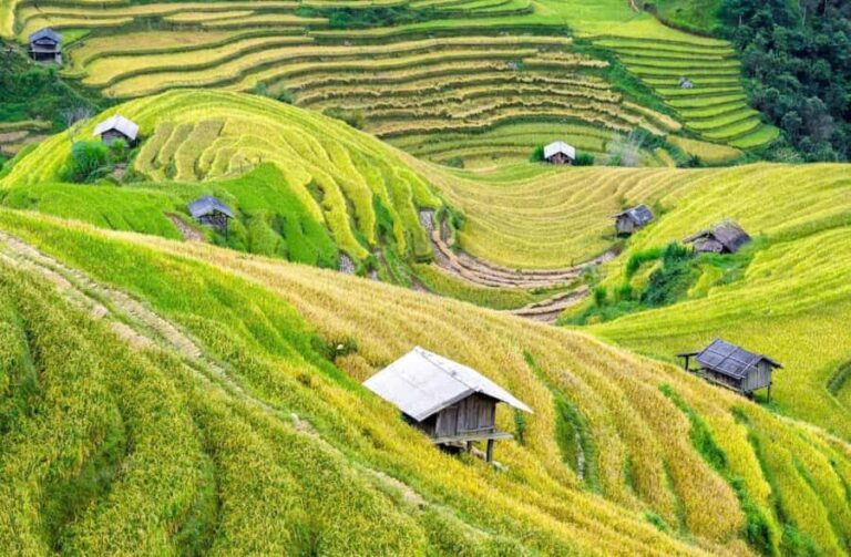 Pu Luong: Cham Stream Bamboo Rafting & Village Walk - A Detailed Breakdown of the Experience