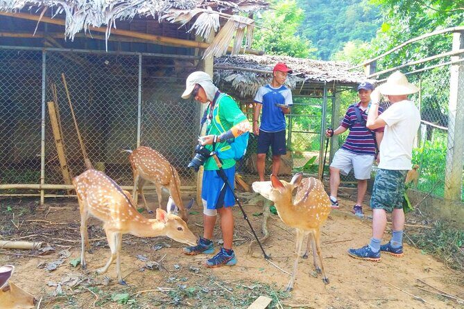 Pu Luong Explorer: 3-Day Trekking & Authentic Village Stay - Who Is This Tour Best For?