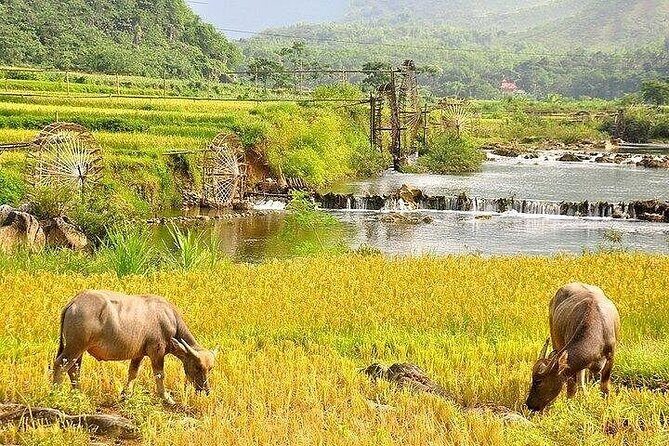 Pu Luong Hidden Paradise Private Trip with Rafting - Who Should Consider This Tour?