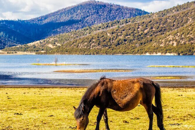 Pudacuo White Water Terrace and Tiger Leaping Gorge Private Tour - Value and Cost Analysis