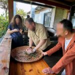 Puer Tea Picking and Tasting | 6 Hour Morning Trip - Transportation & Group Size