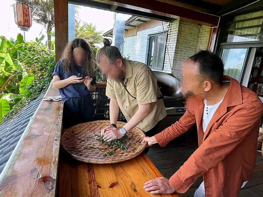 Puer Tea Picking and Tasting | 6 Hour Morning Trip - Transportation & Group Size