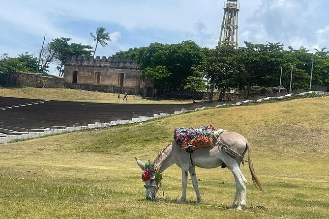 Puerto Plata City Tour Ron Puros Culture and History - Authentic Experiences That Travelers Love