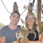 Puerto Plata City Tour with Monkeys - What to Expect from Transportation and Timing