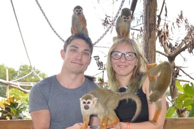 Puerto Plata City Tour with Monkeys - What to Expect from Transportation and Timing