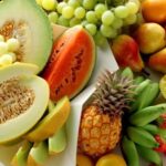 Puerto Plata Combo Experience: Zip-line + Horseback Riding - A Detailed Look at the Puerto Plata Combo Experience