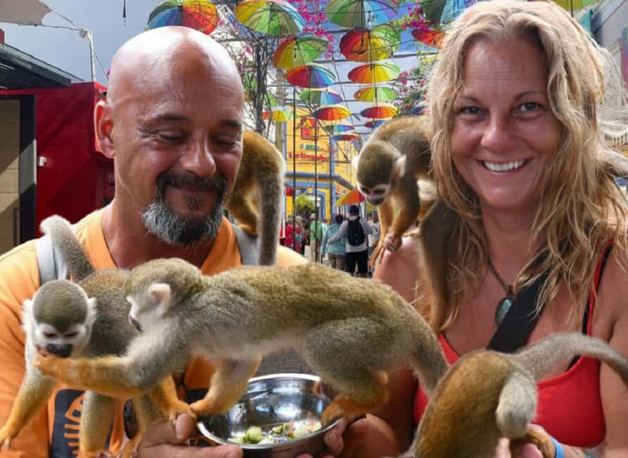 Puerto Plata: Cultural Tour & Ethical Monkey Observation - Who Should Consider This Tour?