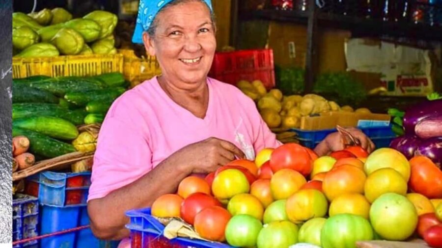 Puerto Plata: Guided City Tour with Historic Center and San Felipe Fort - What Makes This Tour Stand Out?