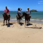 Puerto Plata: Horseback Riding Tour - Authentic Experiences and Extra Insights from Reviewers