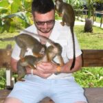 Puerto Plata: Monkey Tour and a Glimpse of Cows and Pigs - An In-Depth Look at the Tour