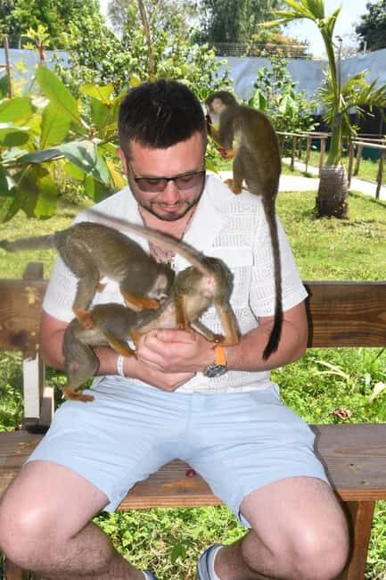 Puerto Plata: Monkey Tour and a Glimpse of Cows and Pigs - An In-Depth Look at the Tour