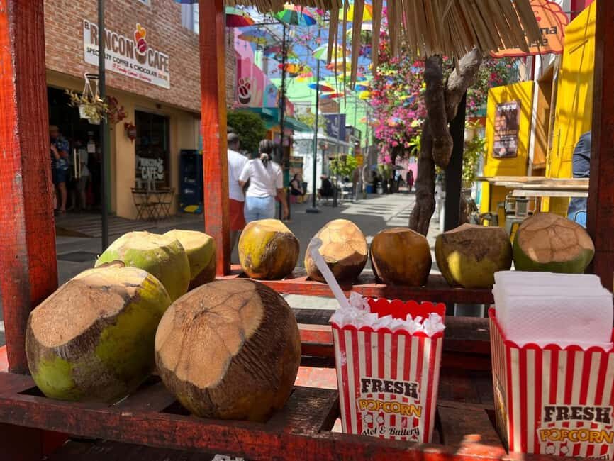 Puerto Plata Private City Tour - Why This Tour Works Well  