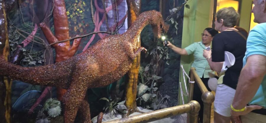 Puerto Plata: Scenic City Tour with Mount Isabel and Lunch - An In-Depth Look at the Puerto Plata Scenic Tour