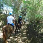 Puerto Plata Sightseeing & Horse Riding | Amber Cove & Taino Bay - Authentic Insights from Past Travelers