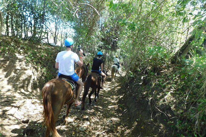 Puerto Plata Sightseeing & Horse Riding | Amber Cove & Taino Bay - Authentic Insights from Past Travelers