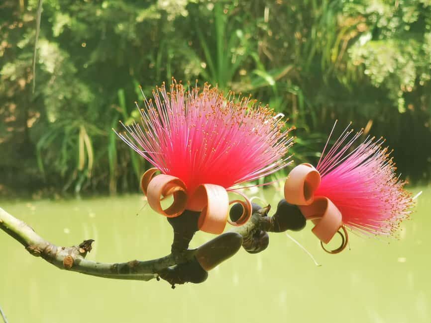 Puerto Plata: Taino Valley and Dominican Flavor Experience - Practical Details and What to Expect