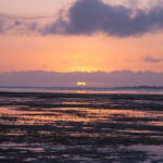 Puerto Princesa: Firefly Watching Bay Cruise with Dinner - What We Love About This Tour