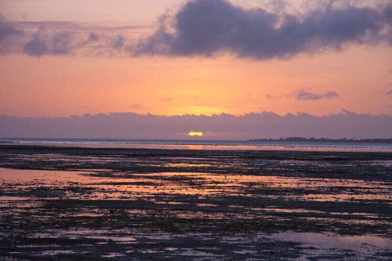 Puerto Princesa: Firefly Watching Bay Cruise with Dinner - What We Love About This Tour