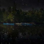 Puerto Princesa Firefly Watching (shared tour) - What to Expect: A Step-by-Step Breakdown