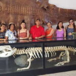 Puerto Princesa; Half day City tour - Highlights of the Experience