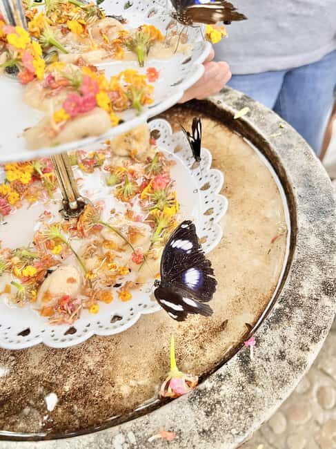 Puerto Princesa: Half Day City Tour with Butterfly Garden - Authentic Experiences and Insider Tips