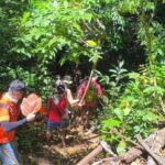 Puerto Princesa Underground River Guided Trekking Tour - Who Should Consider This Tour?