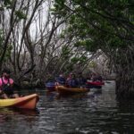Puerto Rico Sunset Magic: Bio Bay Kayaking Tour from Fajardo - Who Should Book This Tour?