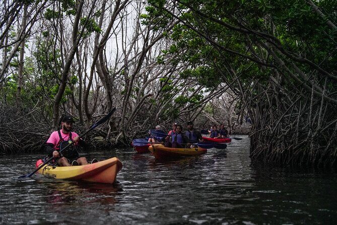 Puerto Rico Sunset Magic: Bio Bay Kayaking Tour from Fajardo - Who Should Book This Tour?