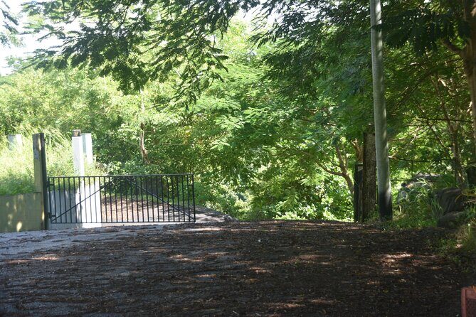 Puerto Rico Waterfall Hiking Tour: Discover Hidden Gems 2.0 - Practical Tips for the Perfect Trip