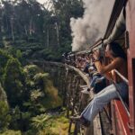 Puffing Billy and Penguin Parade Combo Tour From Melbourne - Experience Quality and Practical Tips