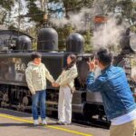 Puffing Billy, Forest Trails and Yarra Valley Discovery Tour - An Engaging Day on Well-Curated Itinerary