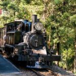 Puffing Billy, Healesville Sanctuary & Chocolatier - Detailed Review of the Tour Experience