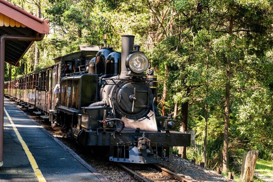 Puffing Billy, Healesville Sanctuary & Chocolatier - Detailed Review of the Tour Experience
