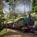 Puffing Billy Steam Train and Penguins Wildlife Tour - An In-Depth Review of the Tour Itinerary