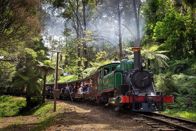 Puffing Billy Steam Train and Penguins Wildlife Tour - An In-Depth Review of the Tour Itinerary