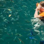 Pulau Sapi & Manukan Sabah Shared Activity Adventure - What’s Included and What’s Not