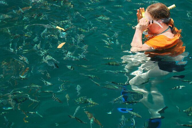 Pulau Sapi & Manukan Sabah Shared Activity Adventure - What’s Included and What’s Not