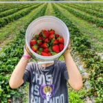 Pune: Day Trip to Mahabaleshwar, Wai, & Pachgani - Arthur’s Seat and Scenic Vista Points