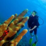 Punta Cana: 2-Tank Dive Trip for Certified Divers - Practical Details and What to Expect