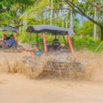 Punta Cana Adveture Booguies : Explore Beaches and Cave - The Experience Provider and Booking Details