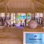 Punta Cana Airport to PARADISUS PALMA REAL in Punta Cana R/T - Overview of the Transfer Experience
