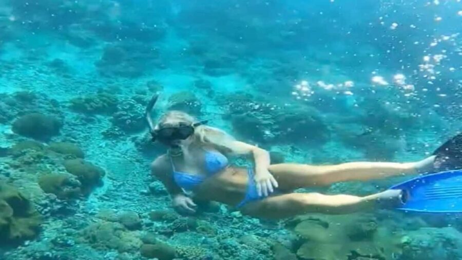 Punta Cana: Altos de Chavón & Catalina Island Day Trip - Sailing to Catalina Island on a Catamaran