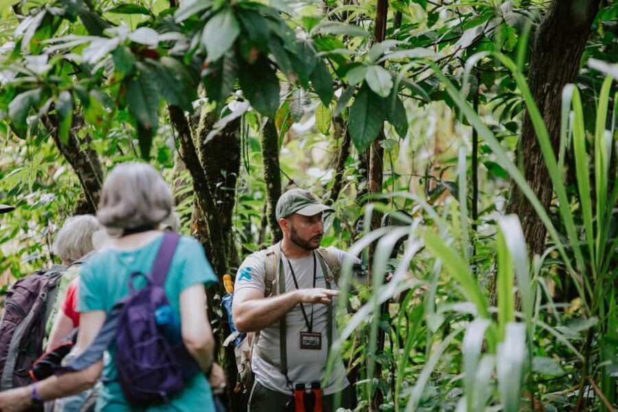 Punta Cana: Anamuya Mountains Guided Walking Tour - The Scenic Trek: Nature, Wildlife, and Local Insights