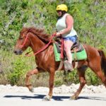 Punta Cana: Bávaro Adventure Park Horse Riding & Waterfalls - Who Will Enjoy This Tour?