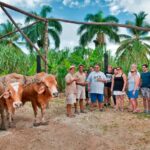 Punta Cana: Bavaro Runners Safari Tour - What to Expect: Practical Details