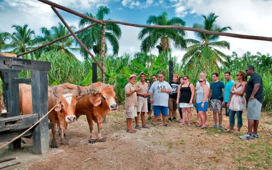 Punta Cana: Bavaro Runners Safari Tour - What to Expect: Practical Details